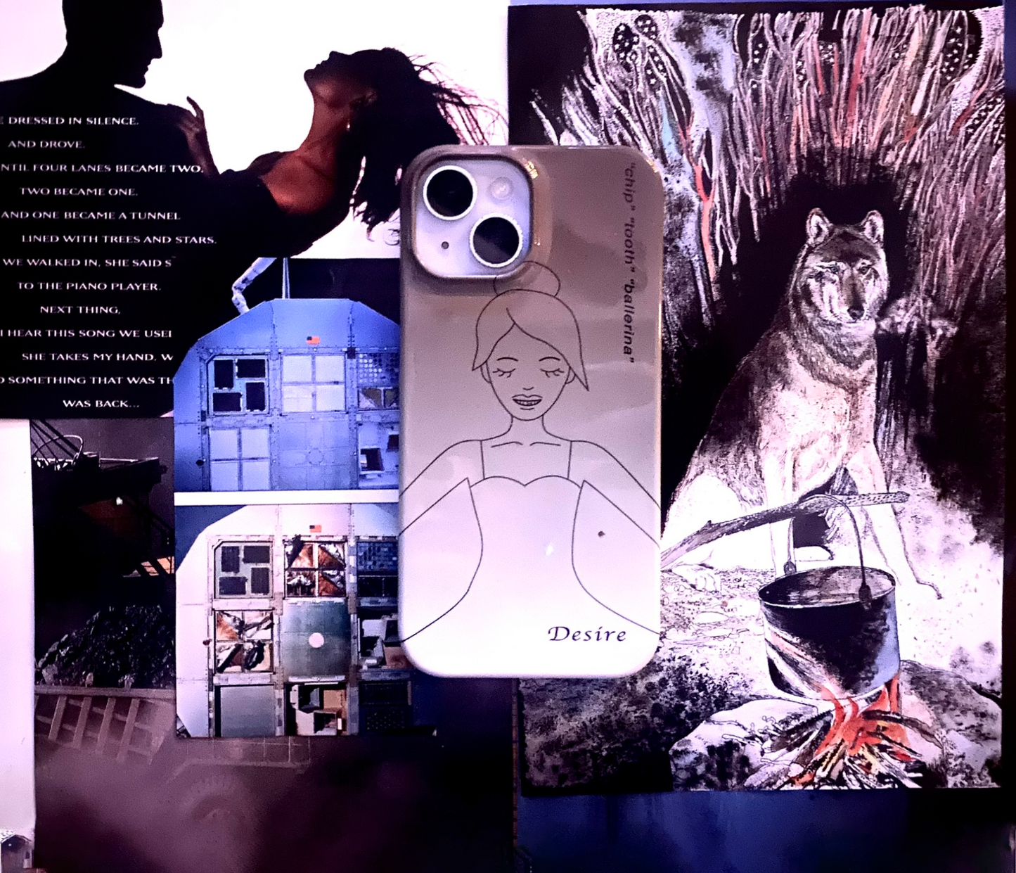 chip tooth ballerina case